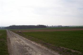 Cherisy - the 7th Bedfords' attack was towards the wood in the distance - March 2004